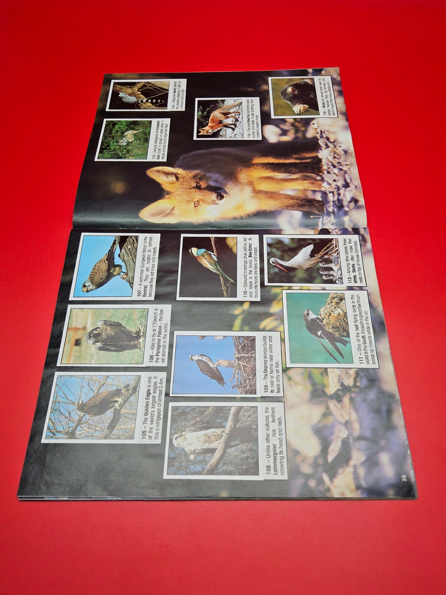 RSPCA pannini sticker album 100% complete