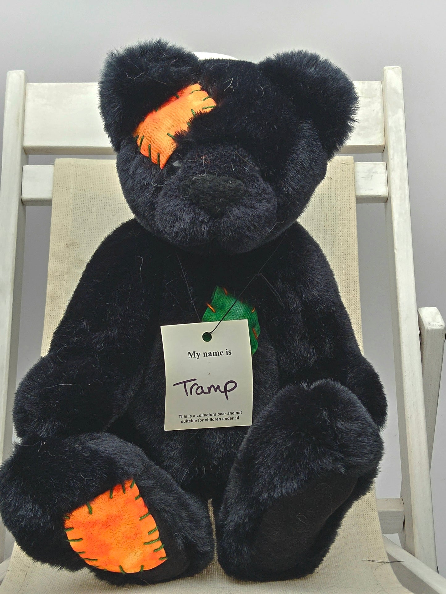 Kaycee bear Tramp