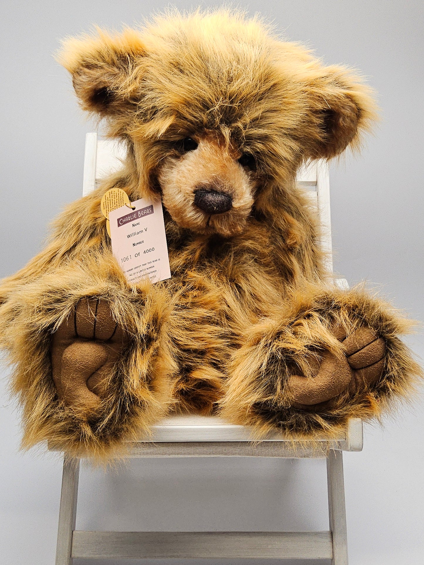 Charlie bear William V