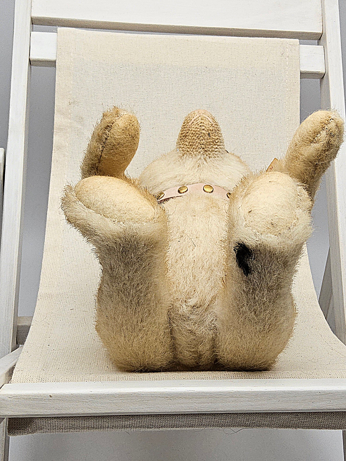 Vintage steiff bear