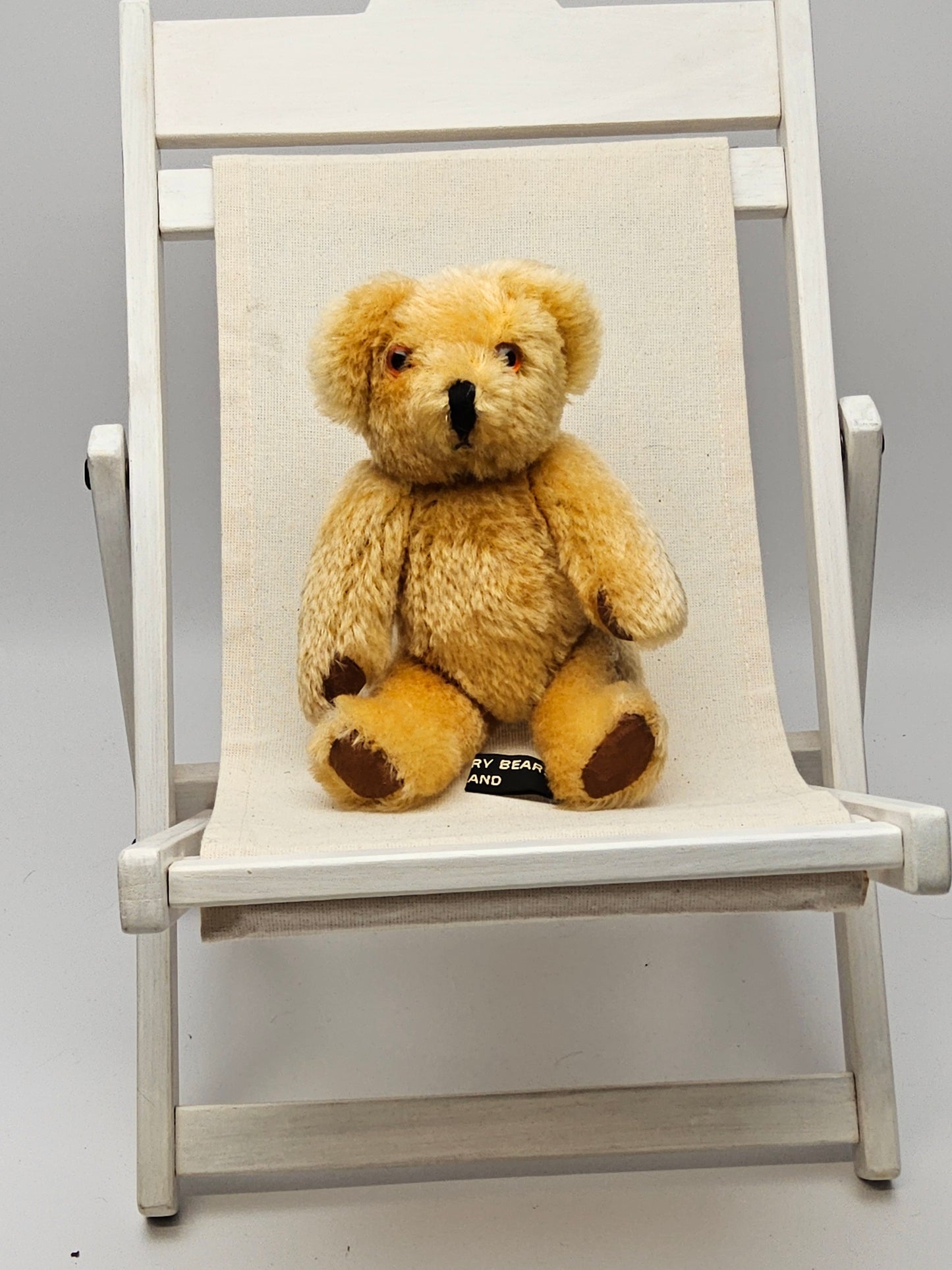 Canterbury bears small teddy bear