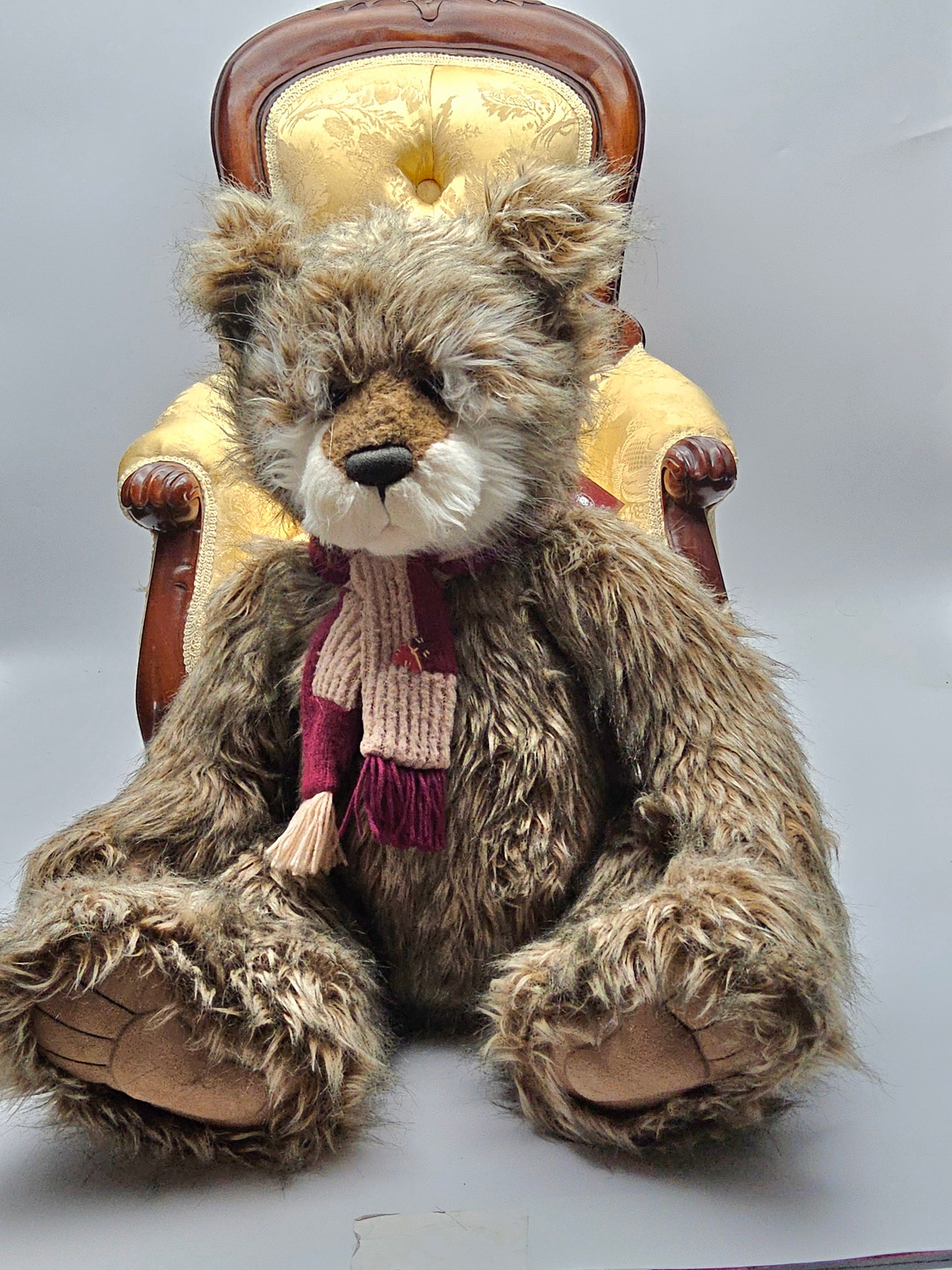 Charlie bear Ambassador