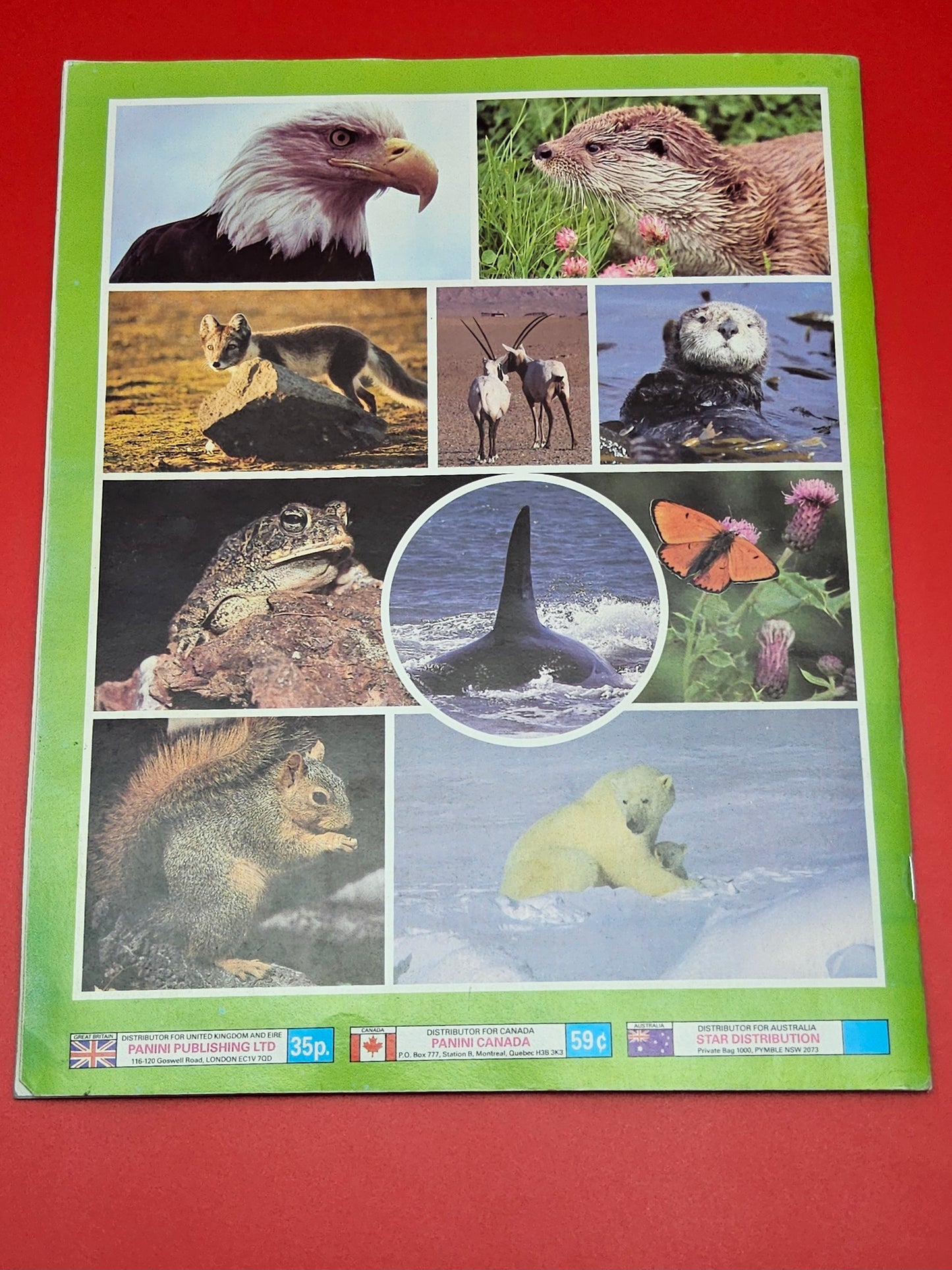 Rare pannini WWF sticker album 100% complete