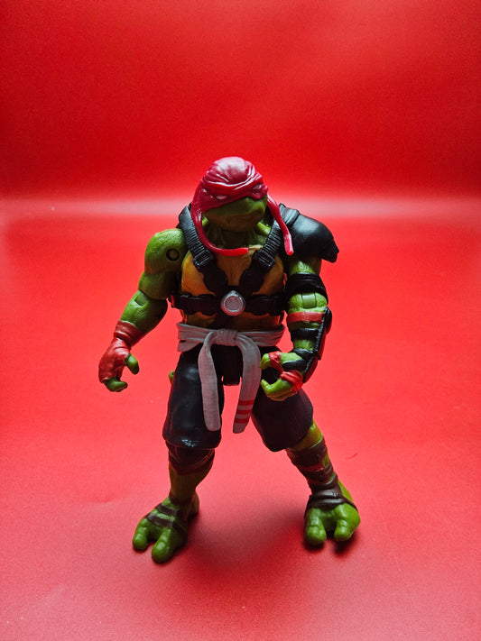 Teenage mutant ninja turtles Raphael figure 100% complete