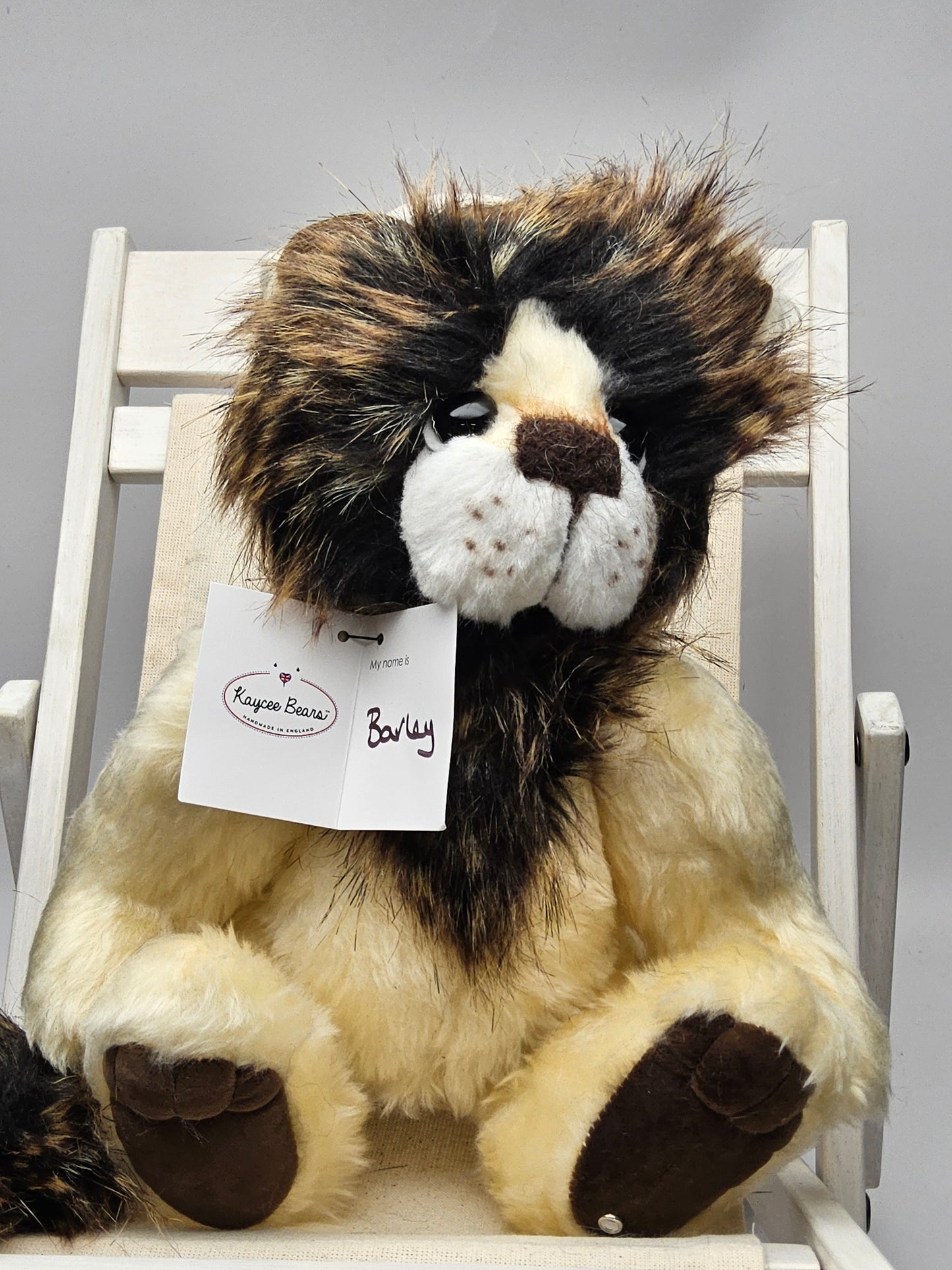 Kaycee bears Barley the lion plush