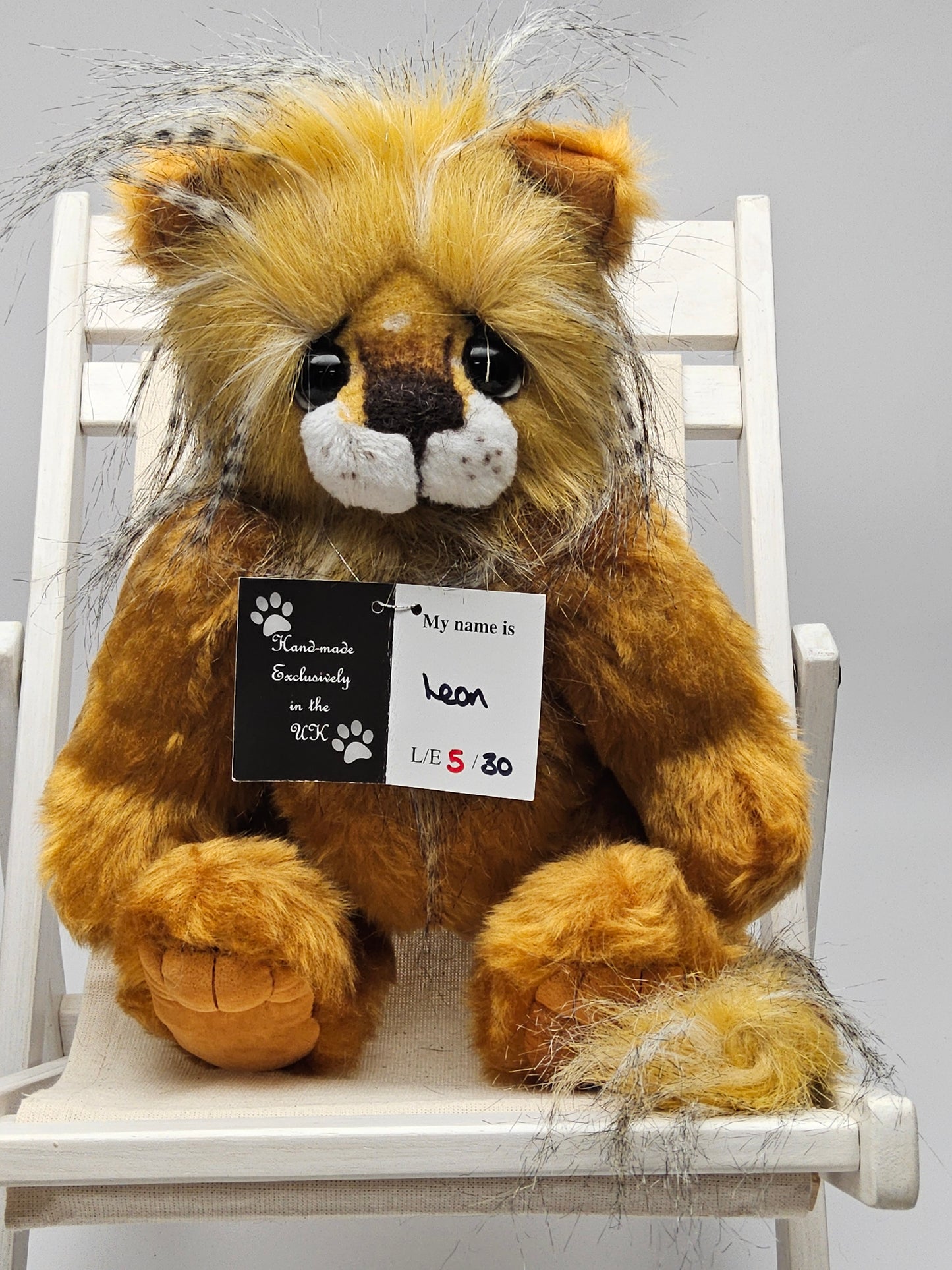 Kaycee bear leon the lion