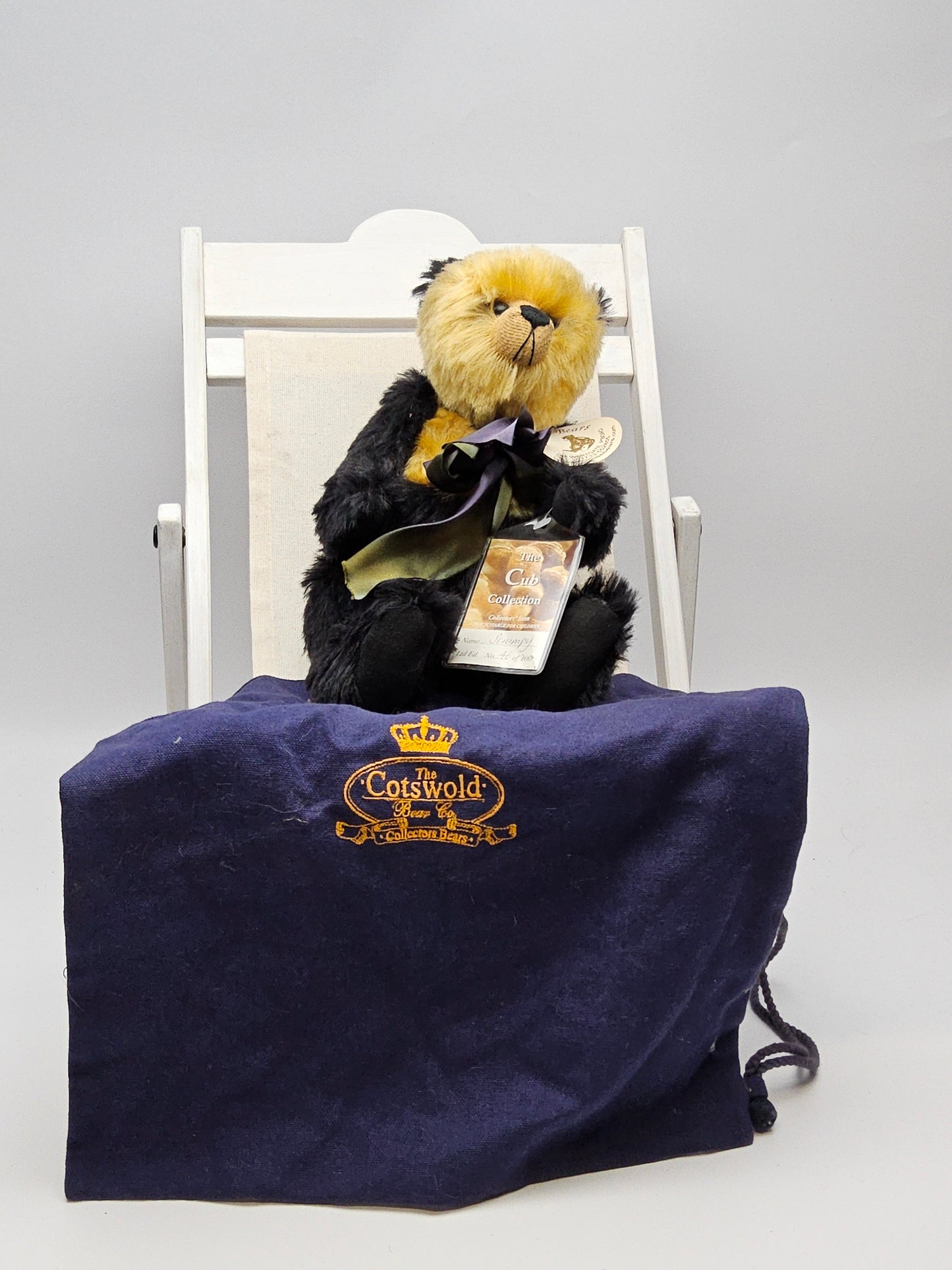 Cotswold bear Scrumpy with bag