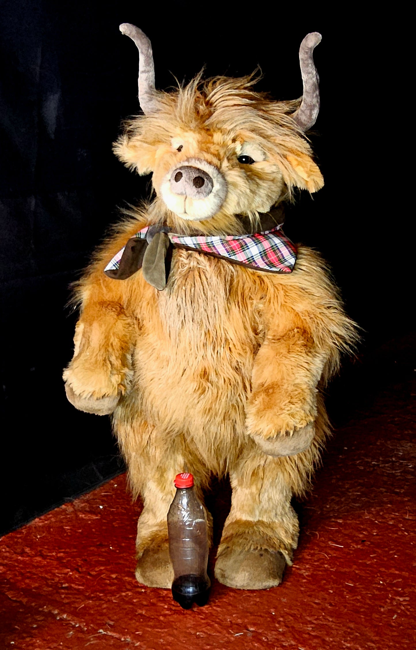 Charlie bear Hoofprints highland cow